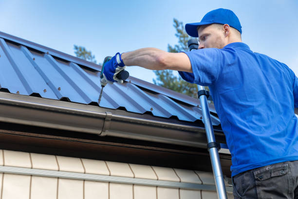 Emergency Roof Repair in Panaca, NV