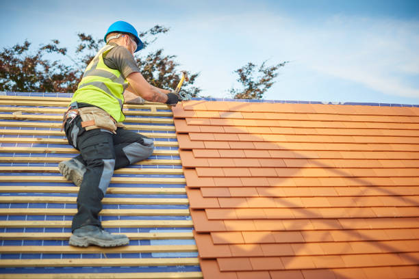 Best Metal Roofing Installation  in Panaca, NV